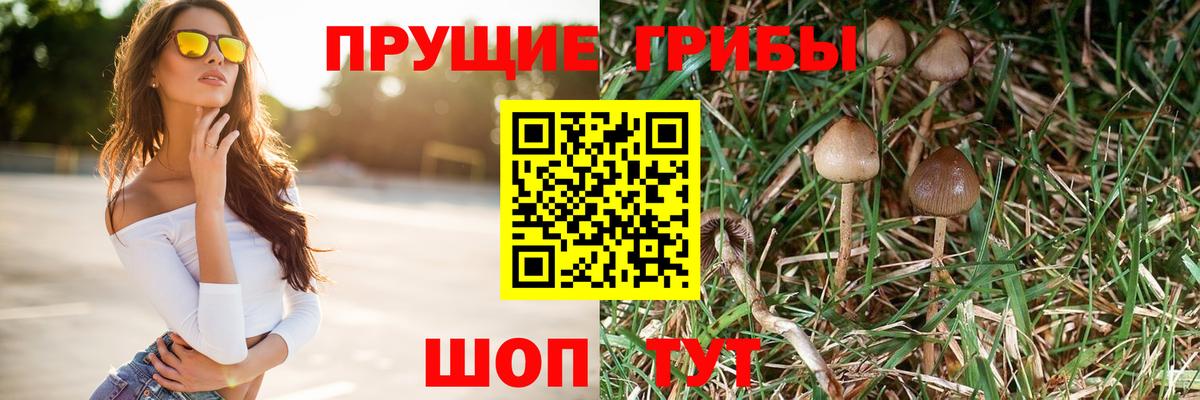 Псилоцибиновые грибы Psilocybine cubensis  купить наркотик  Качканар  Вход с VPN 